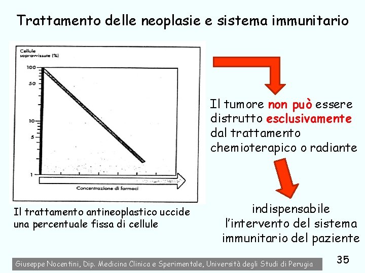 Trattamento delle neoplasie e sistema immunitario Il tumore non può essere distrutto esclusivamente dal