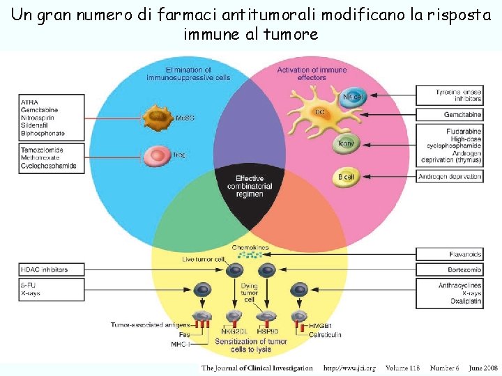 Un gran numero di farmaci antitumorali modificano la risposta immune al tumore Chemoterapia antitumorale,