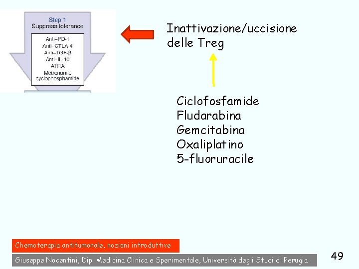 Inattivazione/uccisione delle Treg Ciclofosfamide Fludarabina Gemcitabina Oxaliplatino 5 -fluoruracile Chemoterapia antitumorale, nozioni introduttive Giuseppe