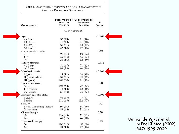 Da: van de Vijver et al. N Engl J Med (2002) 347: 1999 -2009