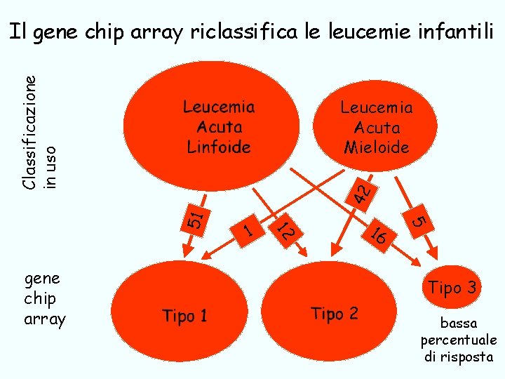 Classificazione in uso Il gene chip array riclassifica le leucemie infantili 16 5 gene