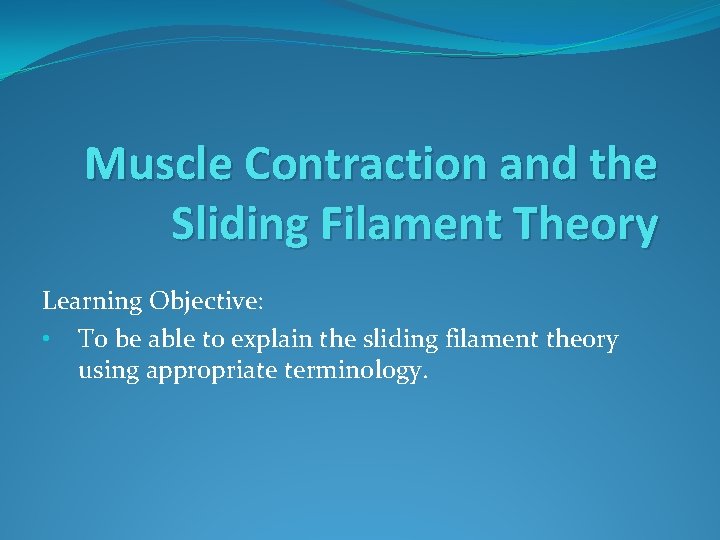 Muscle Contraction and the Sliding Filament Theory Learning Objective: • To be able to