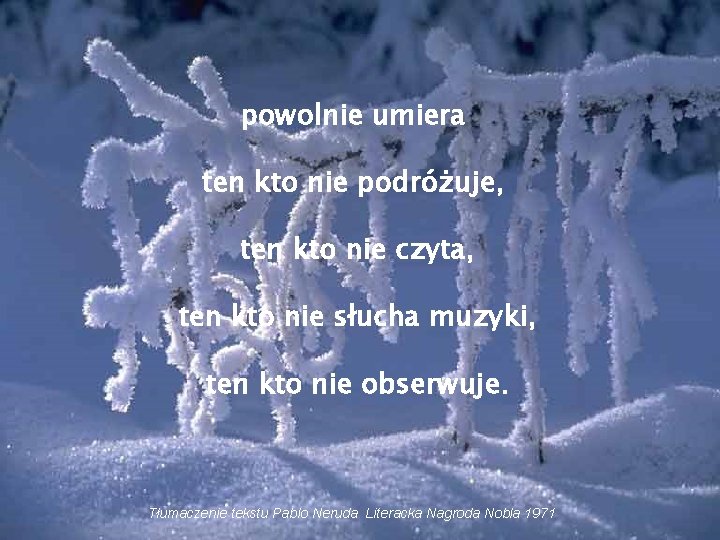 powolnie umiera ten kto nie podróżuje, ten kto nie czyta, ten kto nie słucha