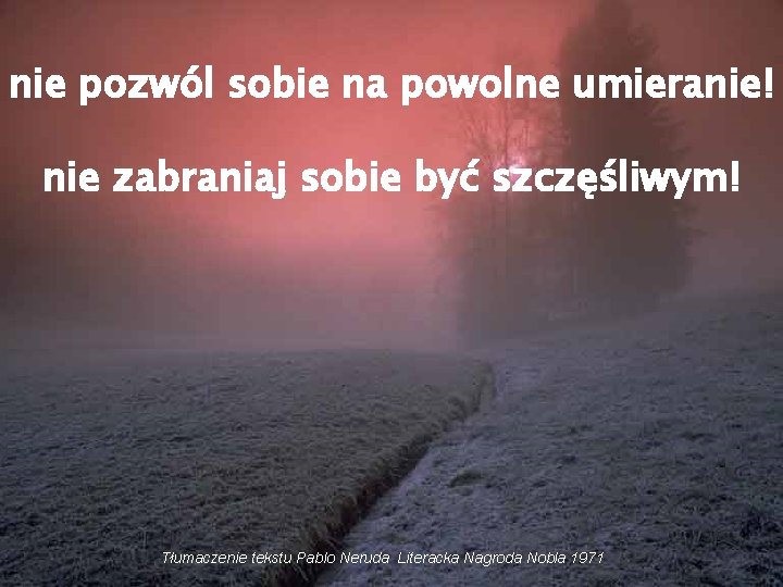 nie pozwól sobie na powolne umieranie! nie zabraniaj sobie być szczęśliwym! Tłumaczenie tekstu Pablo