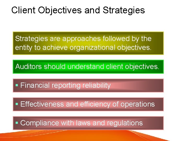 Client Objectives and Strategies are approaches followed by the entity to achieve organizational objectives.