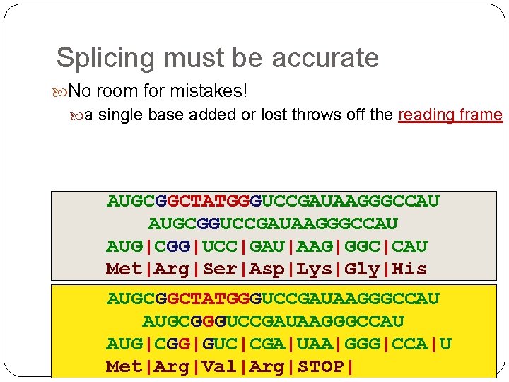 Splicing must be accurate No room for mistakes! a single base added or lost