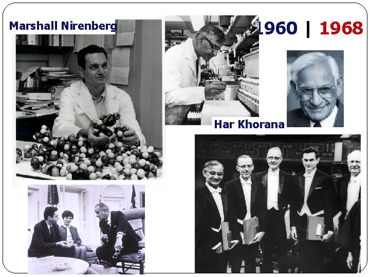 Marshall Nirenberg 1960 | 1968 Har Khorana 
