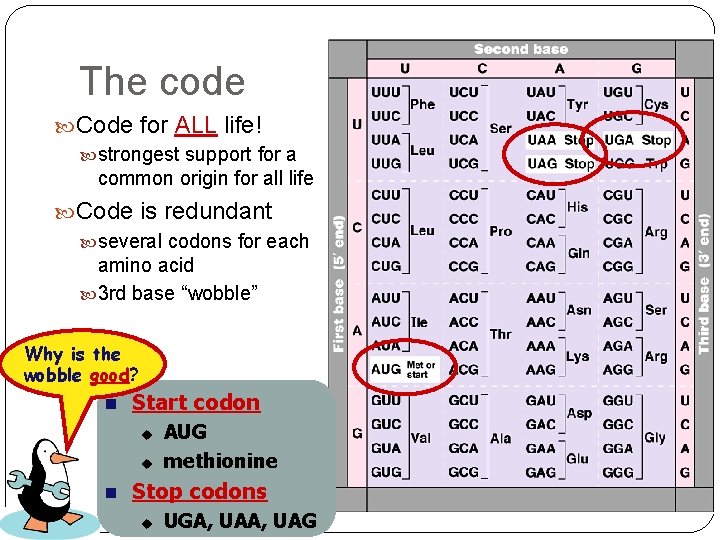 The code Code for ALL life! strongest support for a common origin for all