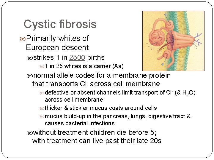 Cystic fibrosis Primarily whites of European descent strikes 1 in 2500 births 1 in