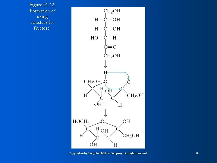 Figure 21. 12: Formation of a ring structure for fructose. Copyright© by Houghton Mifflin