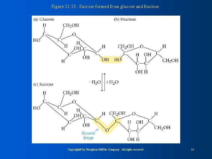 Figure 21. 13: Sucrose formed from glucose and fructose. Copyright© by Houghton Mifflin Company.