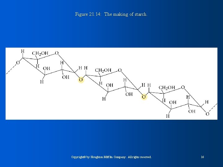 Figure 21. 14: The making of starch. Copyright© by Houghton Mifflin Company. All rights