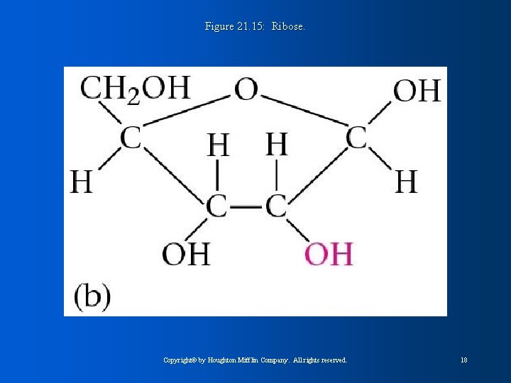 Figure 21. 15: Ribose. Copyright© by Houghton Mifflin Company. All rights reserved. 18 