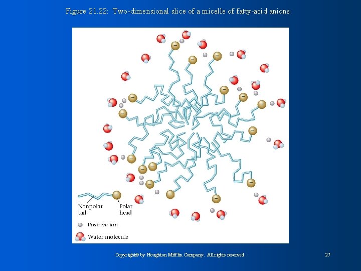 Figure 21. 22: Two-dimensional slice of a micelle of fatty-acid anions. Copyright© by Houghton