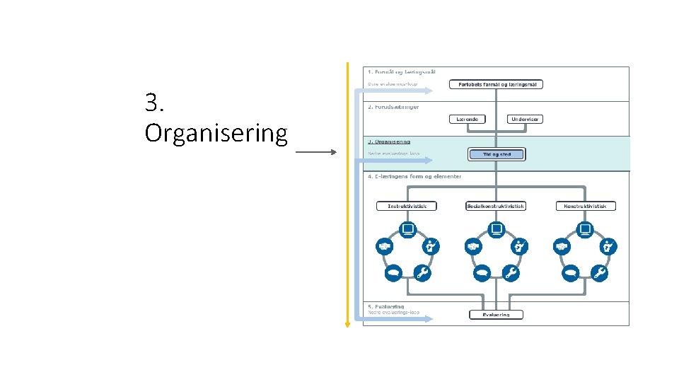 3. Organisering 