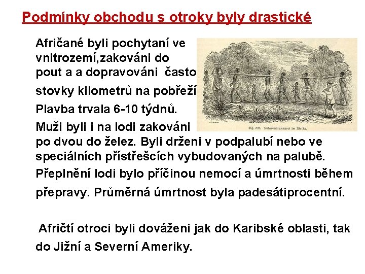 Podmínky obchodu s otroky byly drastické Afričané byli pochytaní ve vnitrozemí, zakováni do pout