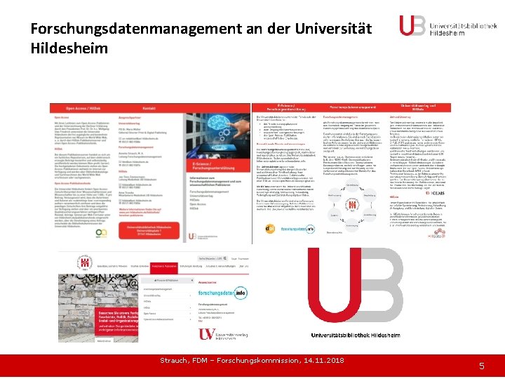 Forschungsdatenmanagement an der Universität Hildesheim Strauch, FDM – Forschungskommission, 14. 11. 2018 5 