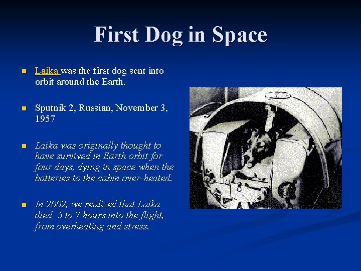 First Dog in Space n Laika was the first dog sent into orbit around