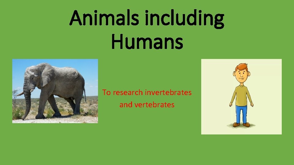 Animals including Humans To research invertebrates and vertebrates 