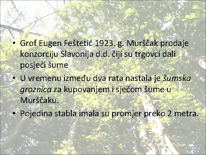  • Grof Eugen Feštetić 1923. g. Murščak prodaje konzorciju Slavonija d. d. čiji