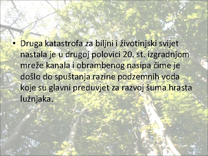  • Druga katastrofa za biljni i životinjski svijet nastala je u drugoj polovici