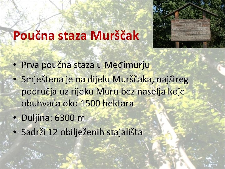 Poučna staza Murščak • Prva poučna staza u Međimurju • Smještena je na dijelu
