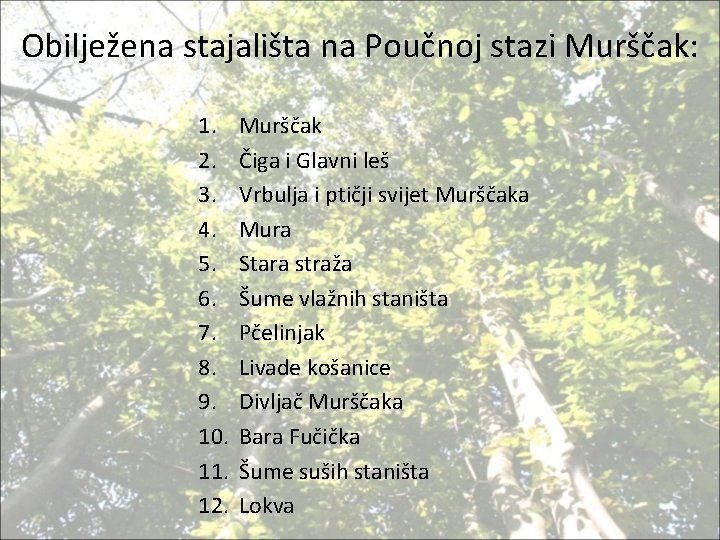 Obilježena stajališta na Poučnoj stazi Murščak: 1. 2. 3. 4. 5. 6. 7. 8.