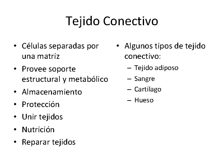 Tejido Conectivo • Células separadas por • Algunos tipos de tejido una matriz conectivo:
