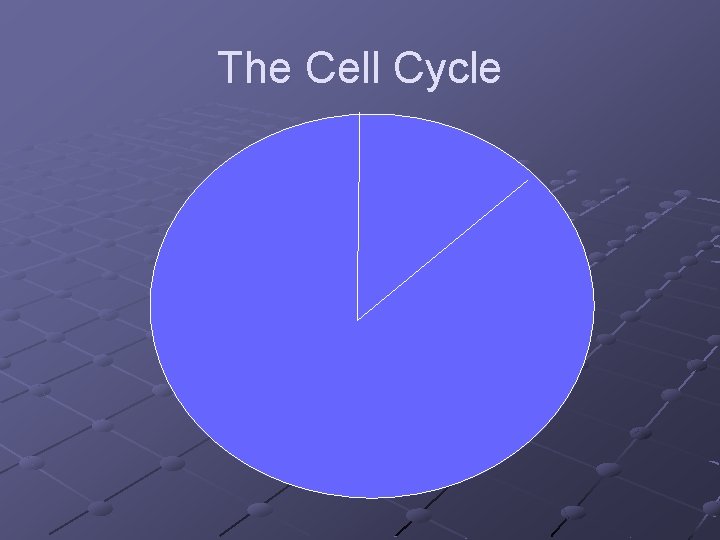 The Cell Cycle 