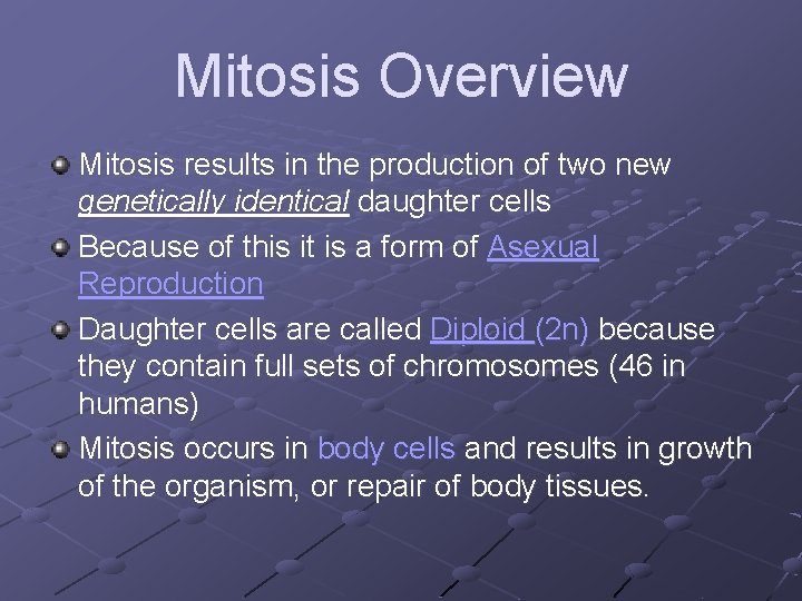 Mitosis Overview Mitosis results in the production of two new genetically identical daughter cells