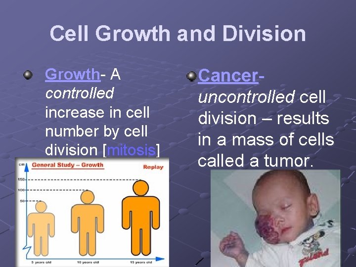 Cell Growth and Division Growth- A controlled increase in cell number by cell division
