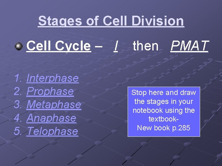 Stages of Cell Division Cell Cycle – I 1. Interphase 2. Prophase 3. Metaphase