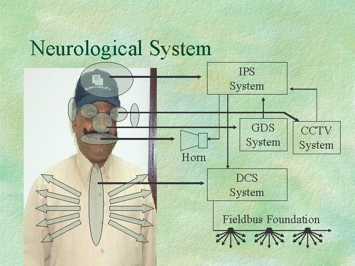 Neurological System IPS System GDS System Horn CCTV System DCS System Fieldbus Foundation 