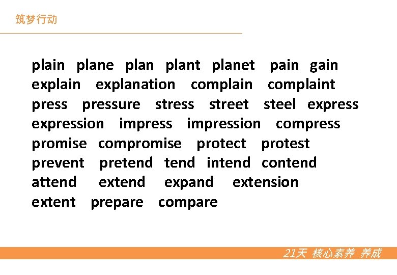 筑梦行动 plain plane plant planet pain gain explanation complaint pressure stress street steel expression