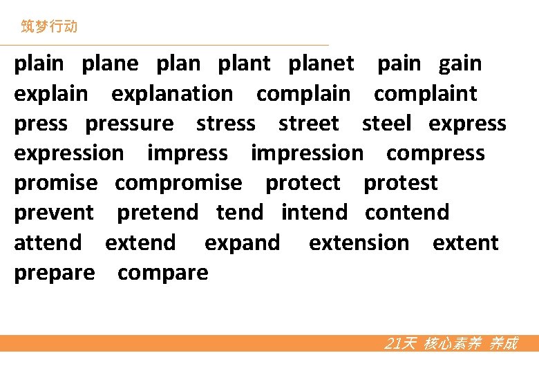 筑梦行动 plain plane plant planet pain gain explanation complaint pressure stress street steel expression