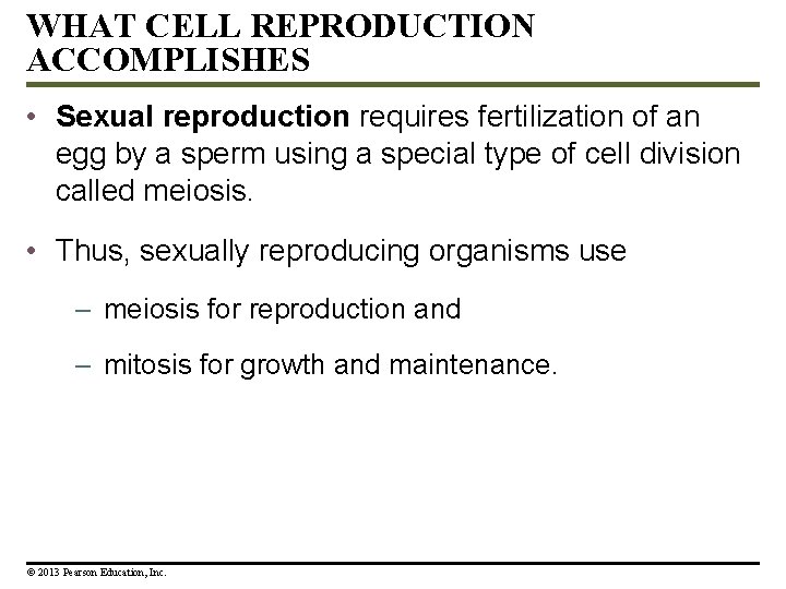 WHAT CELL REPRODUCTION ACCOMPLISHES • Sexual reproduction requires fertilization of an egg by a