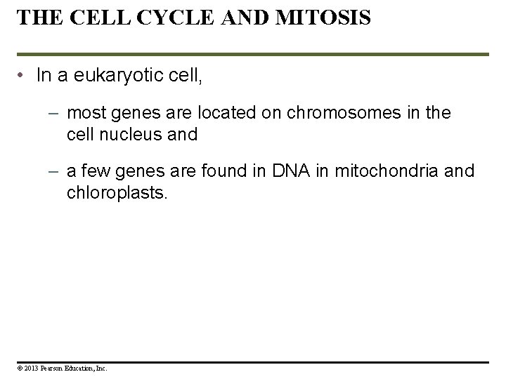 THE CELL CYCLE AND MITOSIS • In a eukaryotic cell, – most genes are