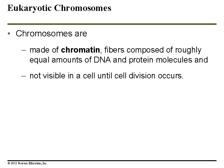 Eukaryotic Chromosomes • Chromosomes are – made of chromatin, fibers composed of roughly equal