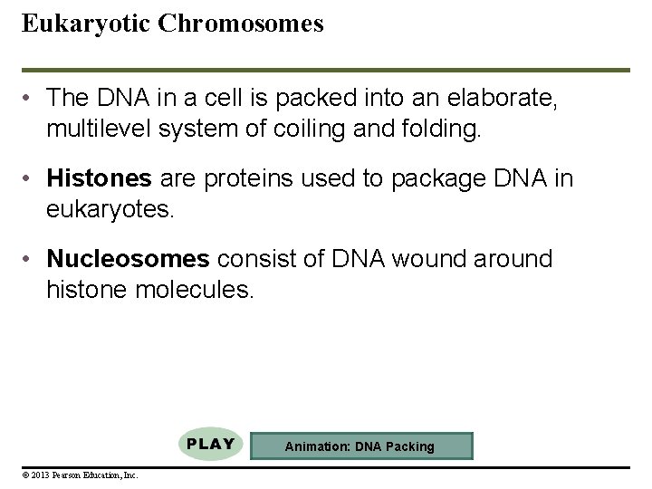 Eukaryotic Chromosomes • The DNA in a cell is packed into an elaborate, multilevel