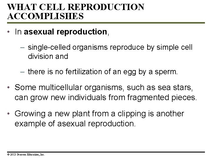 WHAT CELL REPRODUCTION ACCOMPLISHES • In asexual reproduction, – single-celled organisms reproduce by simple