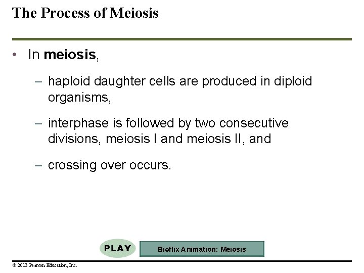 The Process of Meiosis • In meiosis, – haploid daughter cells are produced in