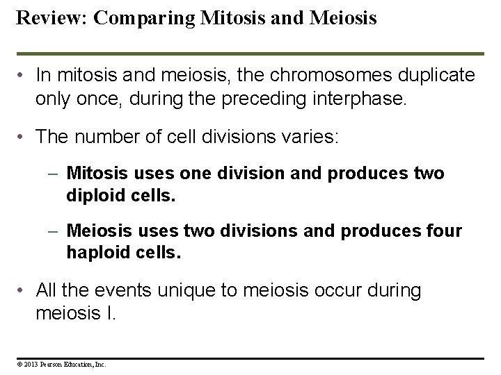 Review: Comparing Mitosis and Meiosis • In mitosis and meiosis, the chromosomes duplicate only