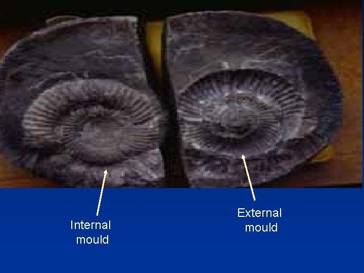 Internal mould External mould 