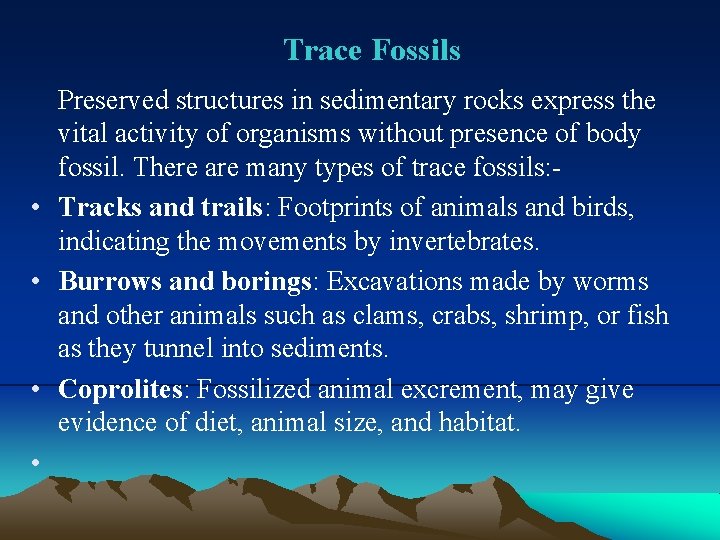 Trace Fossils Preserved structures in sedimentary rocks express the vital activity of organisms without