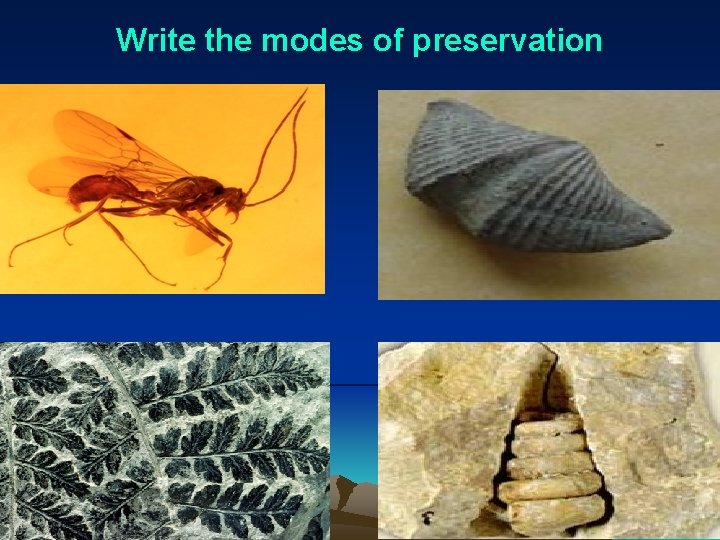 Write the modes of preservation 