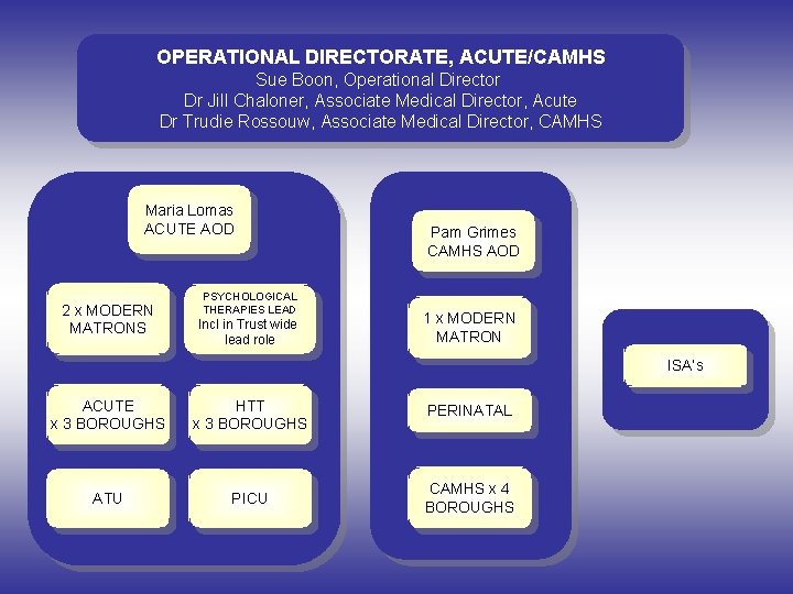 OPERATIONAL DIRECTORATE, ACUTE/CAMHS Sue Boon, Operational Director Dr Jill Chaloner, Associate Medical Director, Acute