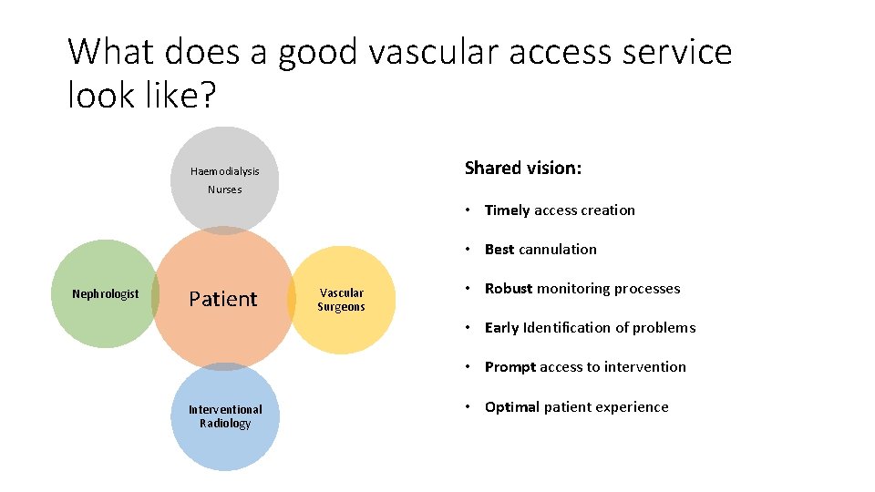 What does a good vascular access service look like? Shared vision: Haemodialysis Nurses •