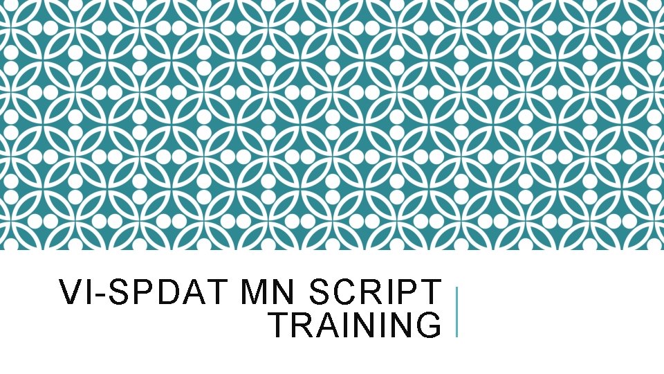 VI-SPDAT MN SCRIPT TRAINING 