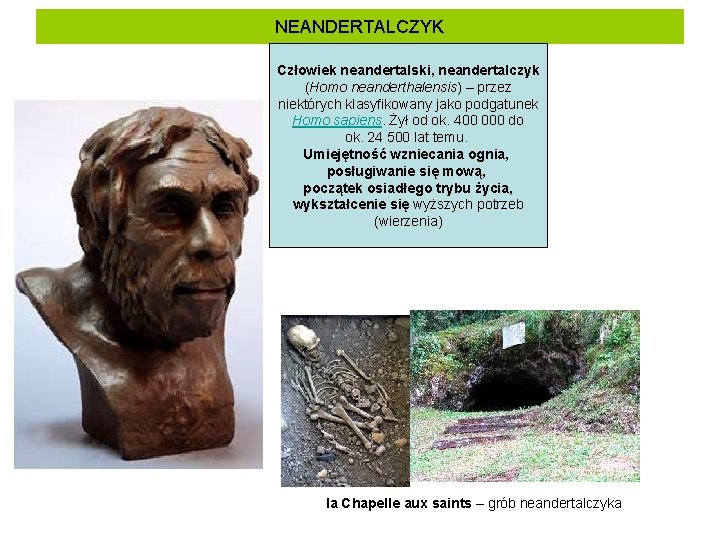 NEANDERTALCZYK Człowiek neandertalski, neandertalczyk (Homo neanderthalensis) – przez niektórych klasyfikowany jako podgatunek Homo sapiens.