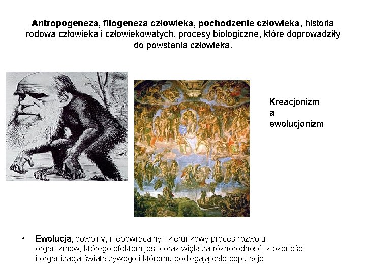 Antropogeneza, filogeneza człowieka, pochodzenie człowieka, historia rodowa człowieka i człowiekowatych, procesy biologiczne, które doprowadziły